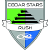 Cedar star