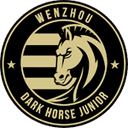 Wenzhou Professional Football Club