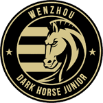 Wenzhou Professional Football Club