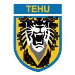 Nanjing Tehu Football Club