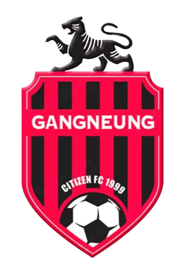 Gangneung Citizen